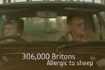 Piriton - Allergies